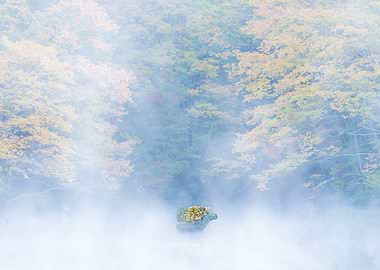 Autumn Lake View in Japan