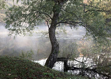 Autumn Lake View in Japan