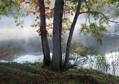 Autumn Lake View in Japan