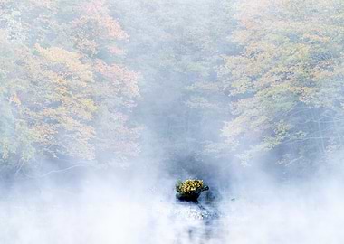 Autumn Lake View in Japan