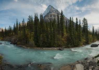 Rocky Mountain River