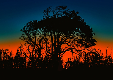 Sunset Colorful Nature