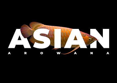 Asian Arowana Monster Fish