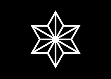 Black and White Geometric