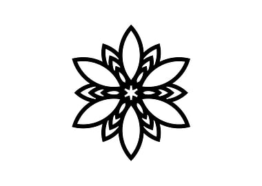 Black and White Geometric