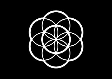 Black and White Geometric