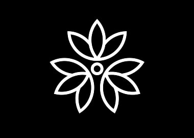 Black and White Geometric