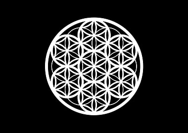 Black and White Geometric