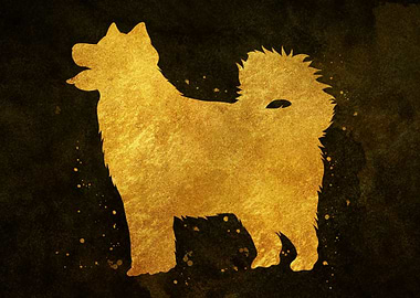 Alaskan Malamute Dog