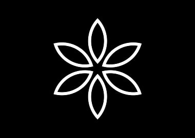 Black and White Geometric