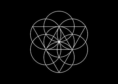 Black and White Geometric