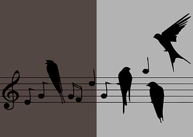 Music Birds