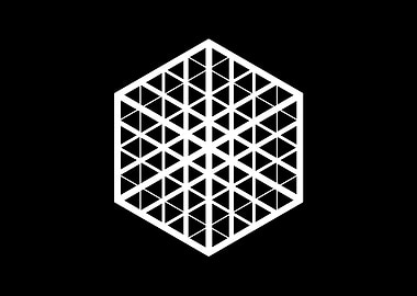 Black and White Geometric