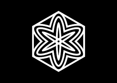 Black and White Geometric