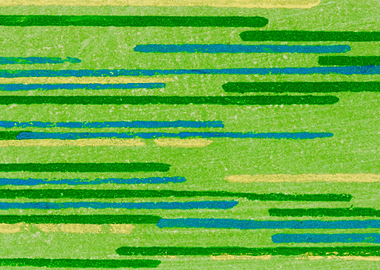 Green Patterns Abstract