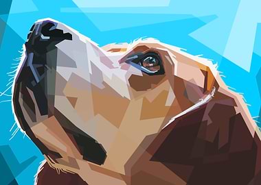 Abstract of a Dogs face