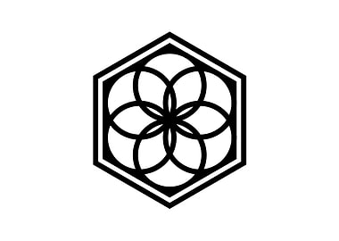 Black Sacred Geometry Rune