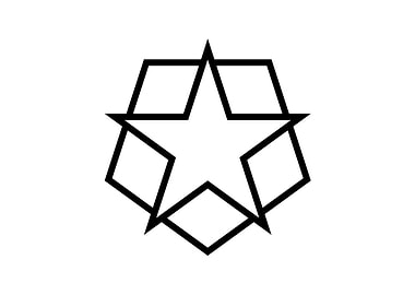 Black and White Geometric