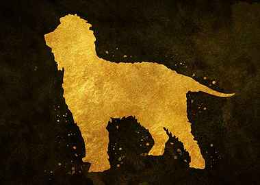 Irish Water Spaniel Dog