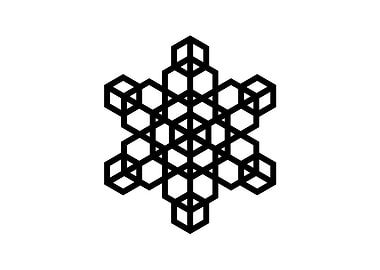 Black and White Geometric