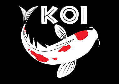 Koi Fish Breeder Carp
