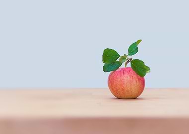 a nature apple poster