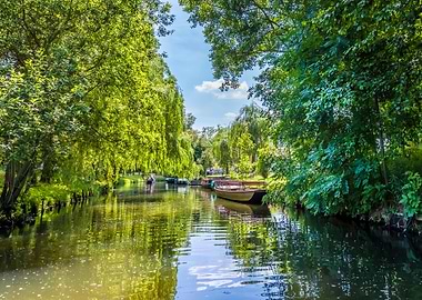 Spree forest boat trip