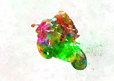 Competition motorcycle