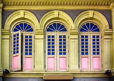 The Singapore Shophouse