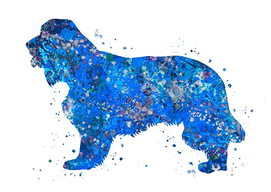 Cocker spaniel blue art