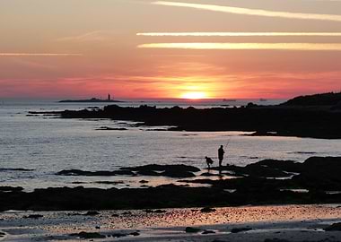 Noirmoutier landscape