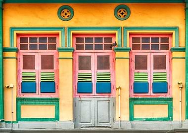 The Singapore Shophouse