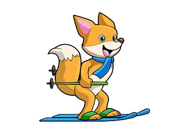 Fox Ski Skier Ski poles