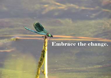 Embrace the Change Photo