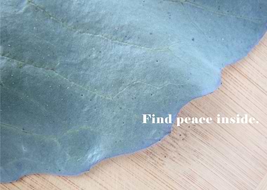 Find Peace Inside Photo