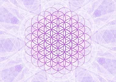 Violet Flower of Life