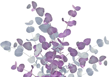 Eucalyptus Bouquet Dream 4