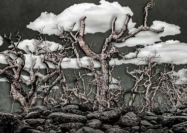 Dark Fantasy Landscape Art