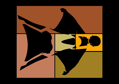 Vintage Skydiver Wingsuit