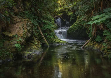 Willaby falls