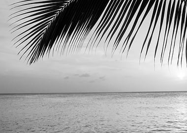 Caribbean Sunset Ocean 3