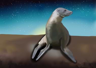 Seal