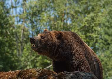 The thirst in his eyes