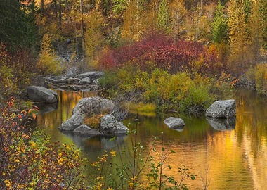 Autumn colors on river