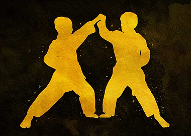 Taekwondo Karate Boy