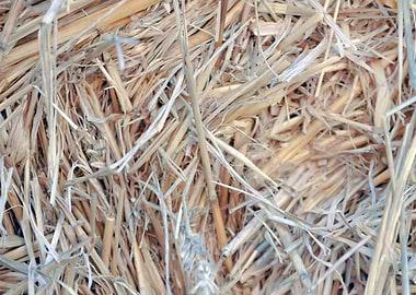 Hay bale compact detail