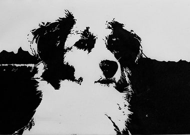 Small Dutch Waterfowl Dog