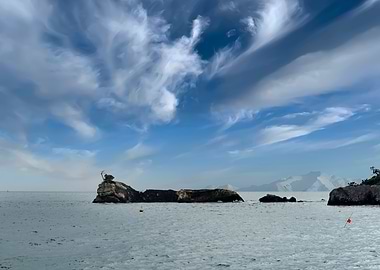 island like caterpillar