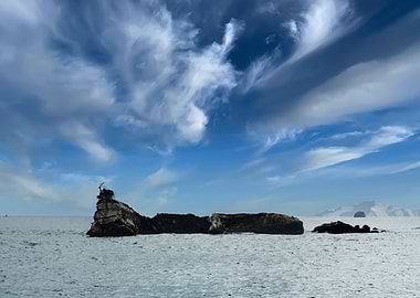 island like caterpillar