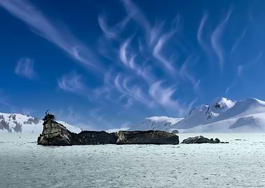 island like caterpillar